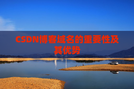 CSDN博客域名的重要性及其优势